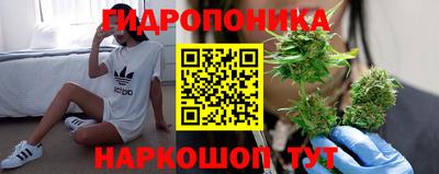 a pvp Партизанск